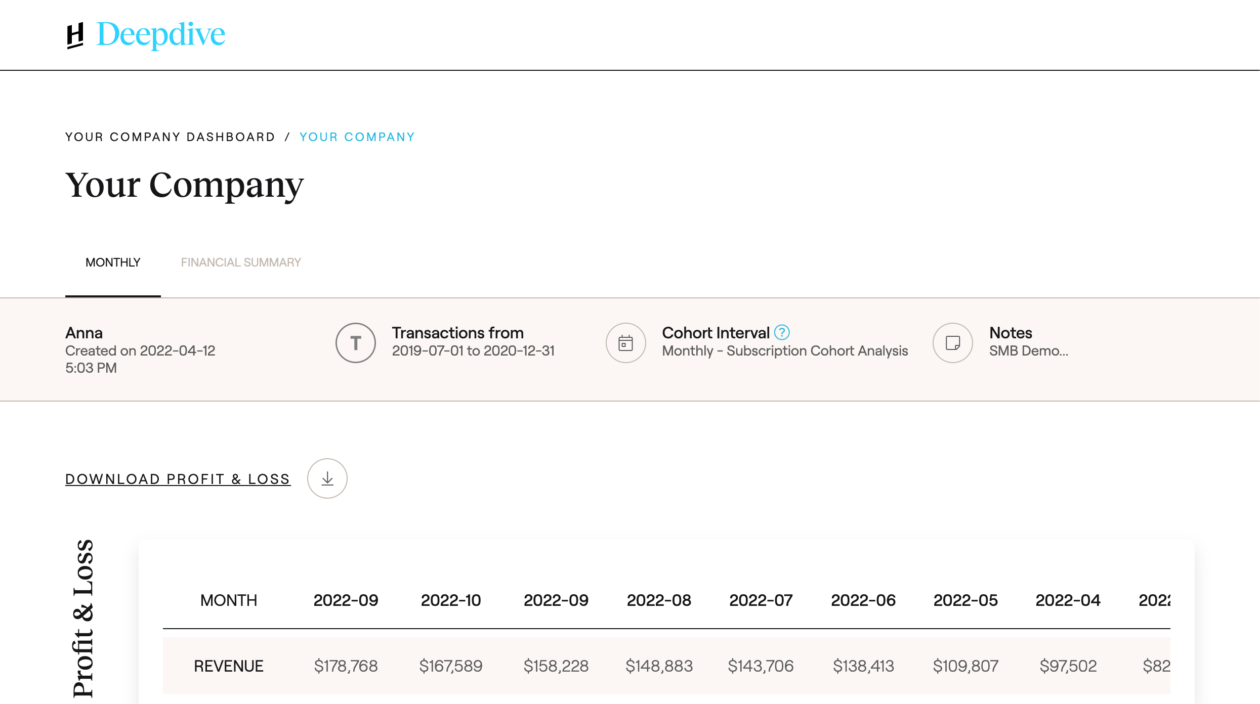 Your Company Dashboard